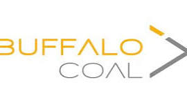 Buffalo Coal