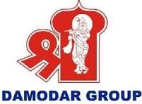 Damodar Group